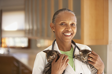 Why Veterinarians Need To Build a Personal Brand