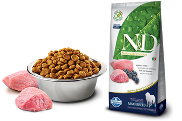 A Berry Healthy Treat for Dogs