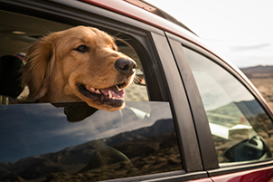 On the Road Again: Managing Your Workload