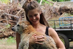 Why We Care About Sri Lankan Street Dogs