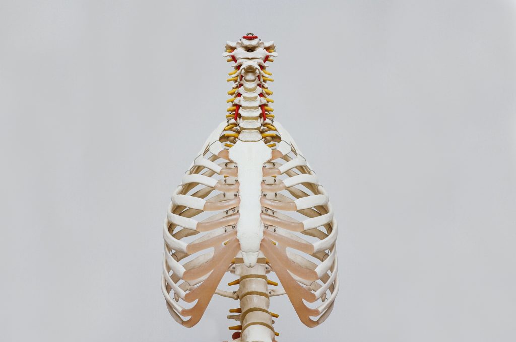Skeleton-disorders